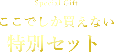 ここでしか買えない特別セット