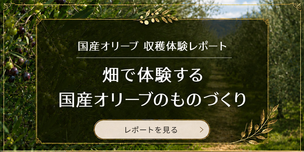 MCTオイル